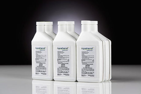 Aprehend Bed Bug Biopesticide