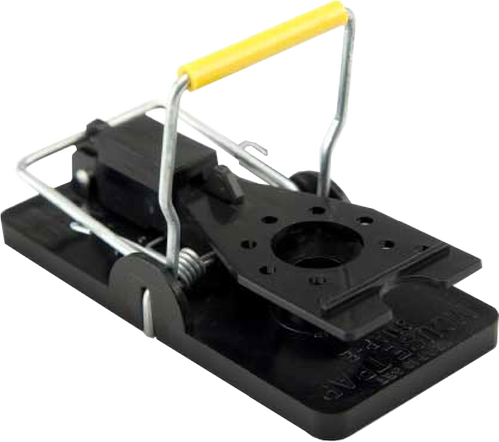 Snap-E Mouse Trap