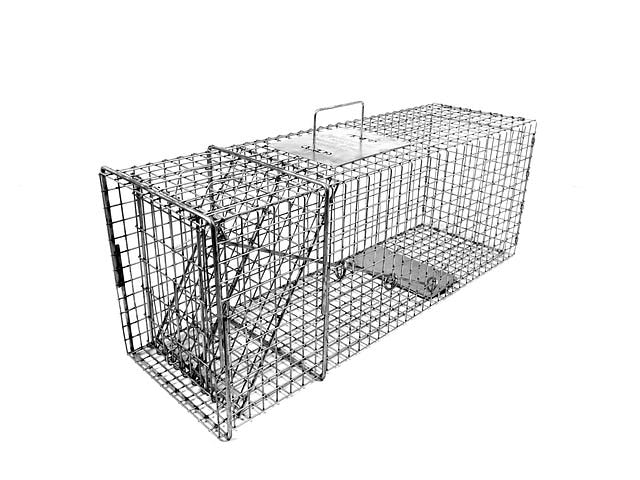 Model 108.1 Raccoon Trap with Wire Mesh