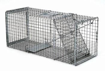 Safeguard Professional Rear Release Cage Trap