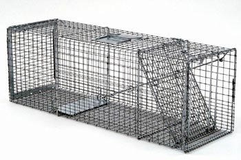 Safeguard Professional Rear Release Cage Trap