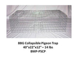 Pigeon Trap