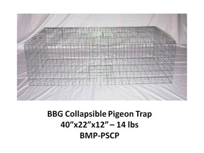 Pigeon Trap