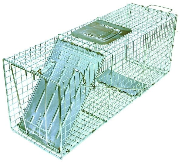 Answer Medium Cage Trap