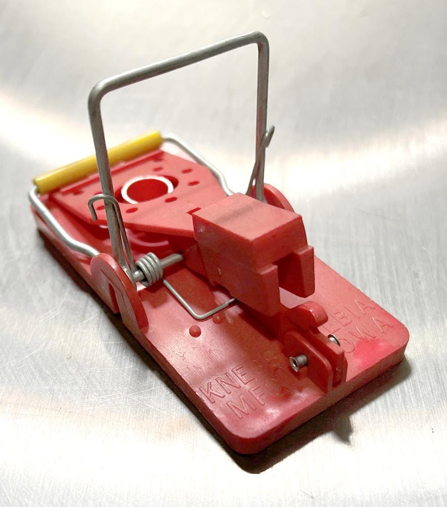 Snap-E Mouse Trap