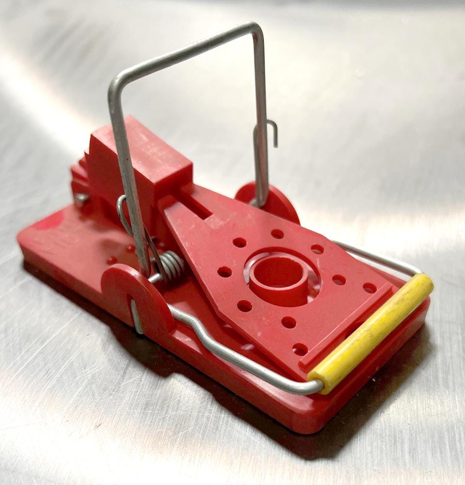 Snap-E Mouse Trap