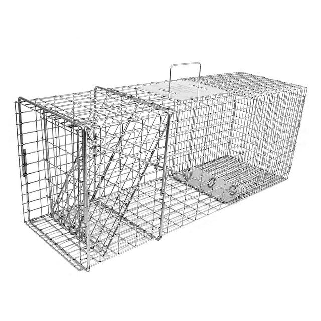 Raccoon Trap with One Trap Door