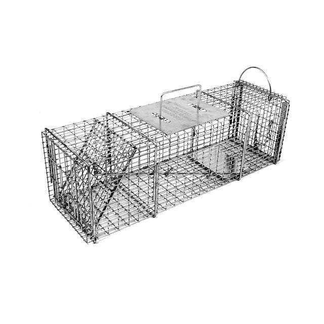 Skunk Trap with One Trap Door & Rear Access Door