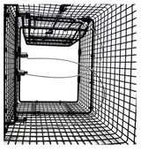 Model C911FD-24 Animal Trap