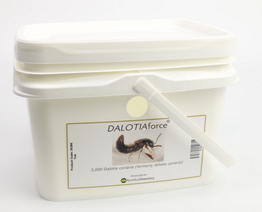 DALOTIAFORCE