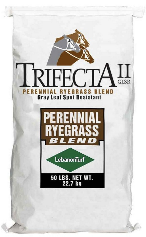 Trifecta II Perennial Rye Seed Blend