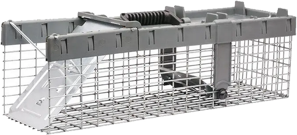 1-Door Squirrel Trap