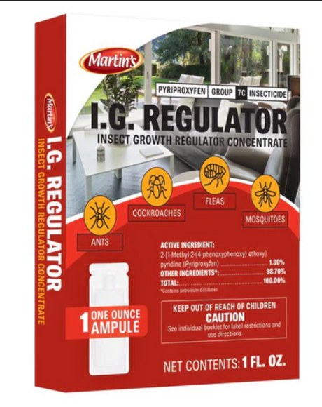 Martin's IG Regulator