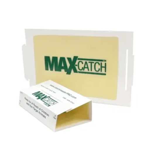 Catchmaster 72MAX Mouse Glue Board - 72 Boards