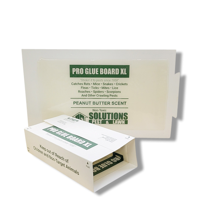 Solutions Pro Rat Glue Board XL - Peanut Butter Scent