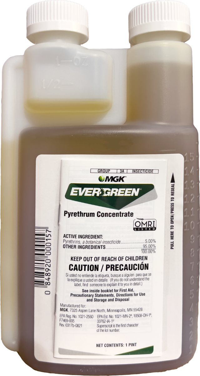 Evergreen Pyrethrum Concentrate