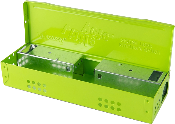 Little Pete Slim Multi Catch Trap with Neon Green Powder Coating