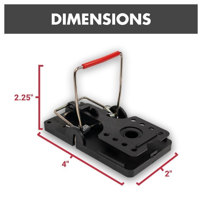 Solutions Easy Set Mouse Trap