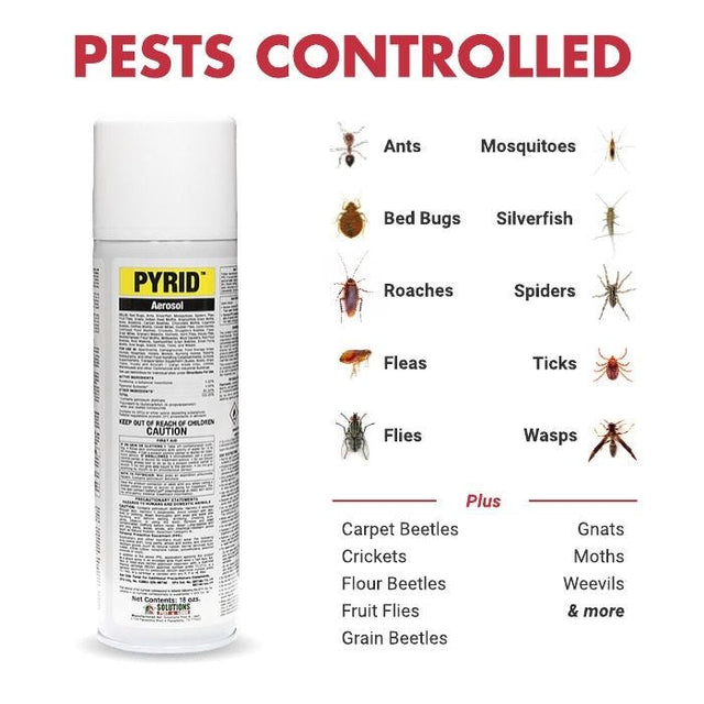 Pyrid Insecticide Aerosol - 18 oz. – Pest Control Superstore