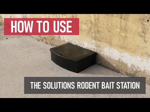 Solutions Rat & Mouse Bait Station