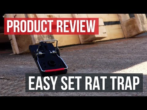 Solutions Easy Set Rat Trap