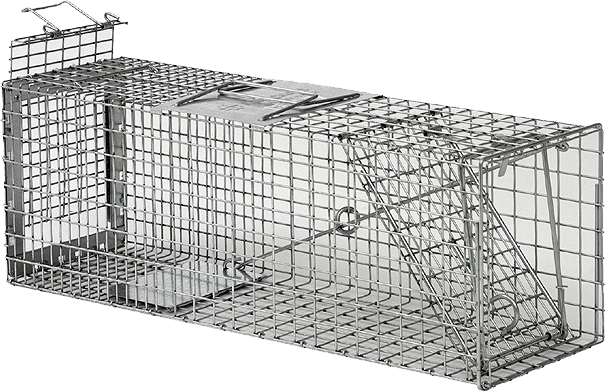 Safeguard Standard Rear Release Cage Trap