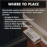 Solutions Pro Glue Board - Peanut Butter Scent